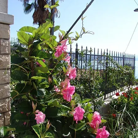 Anamarija * Οπατία